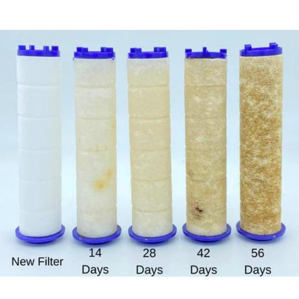 Cotton Filter - Shower Jet Accessories