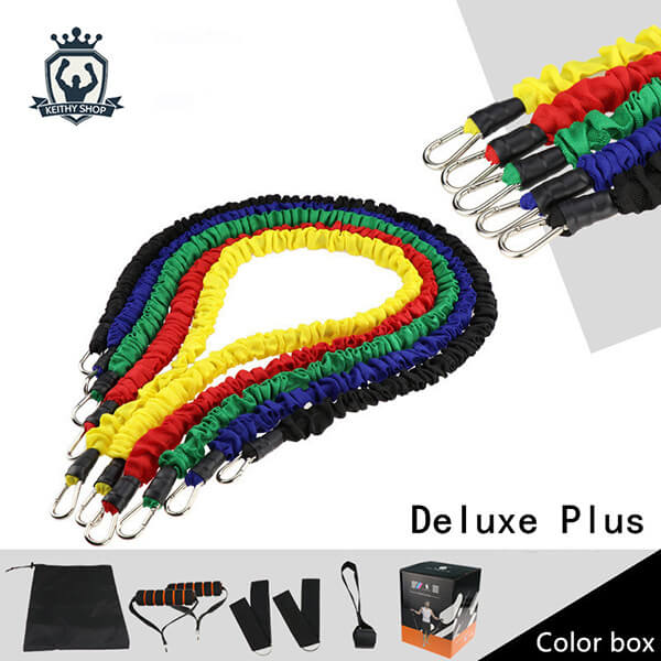 Exercise Resistance Bands (11-piece set)