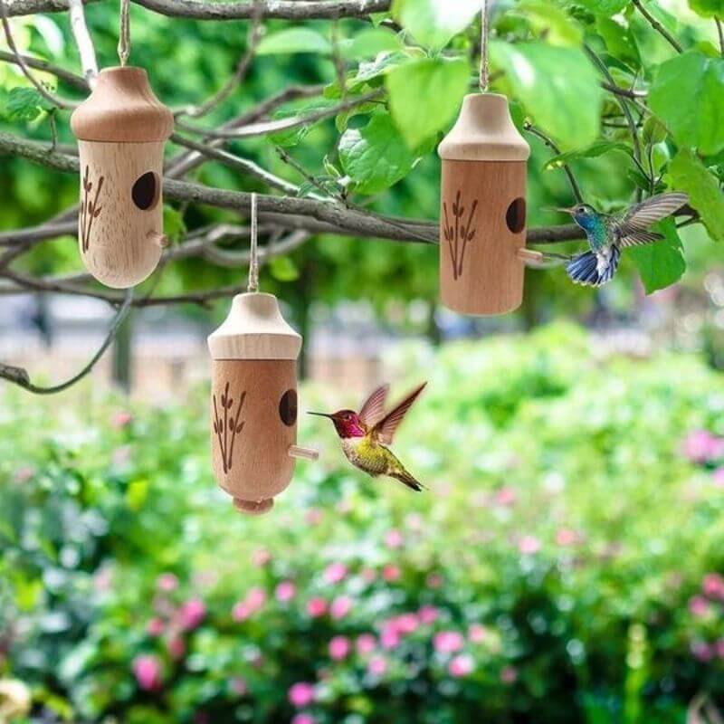 Hummingbird