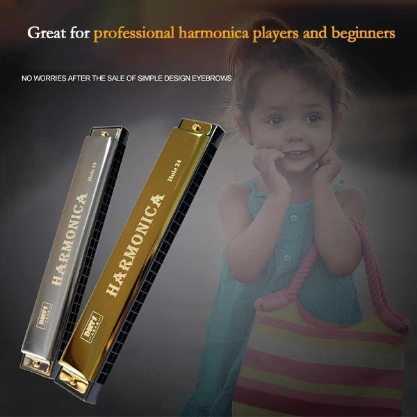 Professional Harmonica in C Key with Case