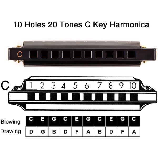 Professional Harmonica in C Key with Case