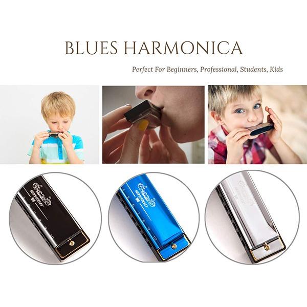Professional Harmonica in C Key with Case