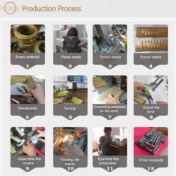 Professional Harmonica in C Key with Case